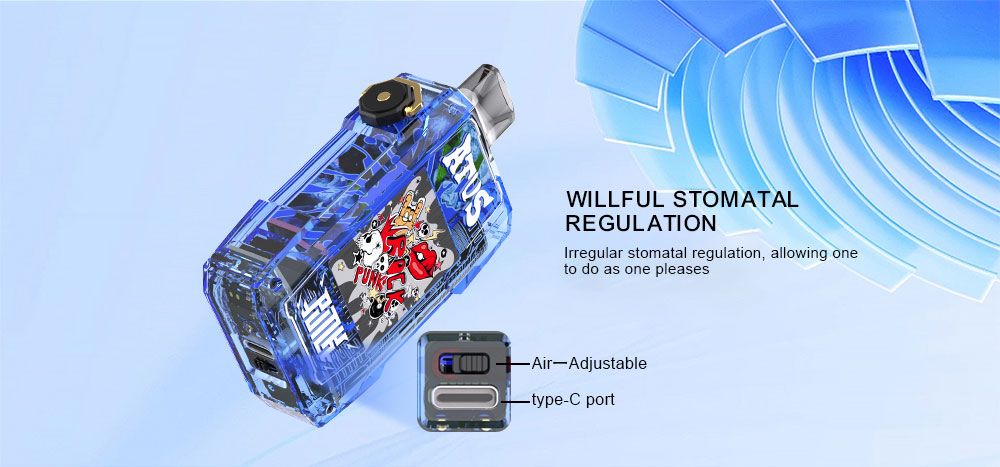 DE012 Florida FL USA 7000 Puffs Disposable Vape with Full screen rechargeable and adjustable airflow ATVS Vape