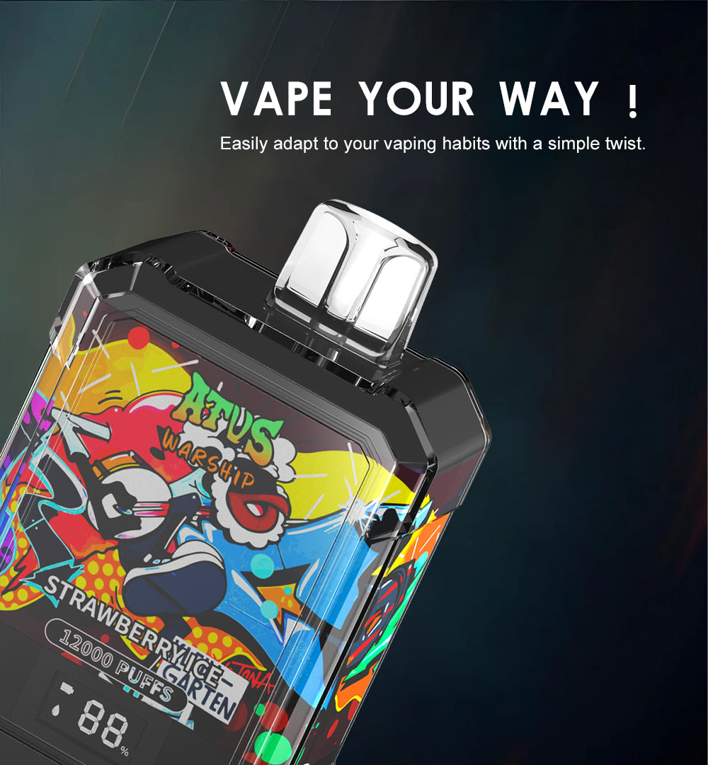DE013A Florida FL USA 12000 Puffs Disposable Vapes with LED display screen and adjustable airflow