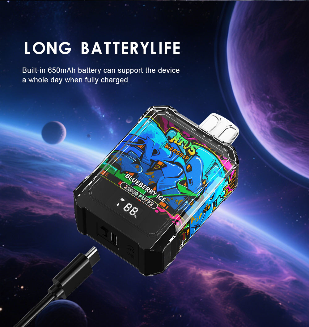 DE013A Florida FL USA 12000 Puffs Disposable Vapes with LED display screen and adjustable airflow