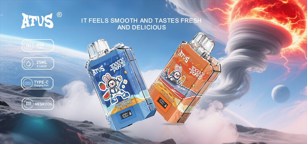 DE017 Florida FL USA 30000 Puffs Disposable Vape with LED display screen and adjustable airflow rechargeable