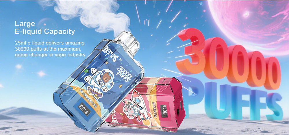 DE017 Florida FL USA 30000 Puffs Disposable Vape with LED display screen and adjustable airflow rechargeable