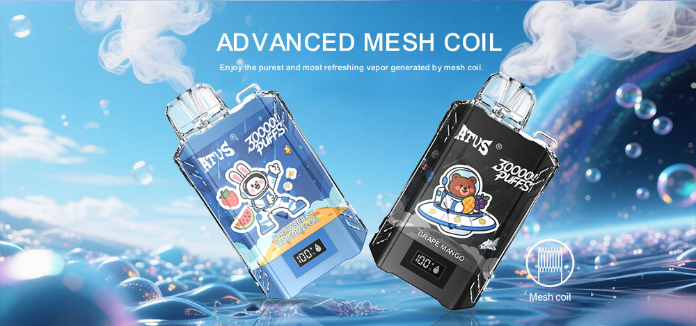 DE017 Florida FL USA 30000 Puffs Disposable Vape with LED display screen and adjustable airflow rechargeable
