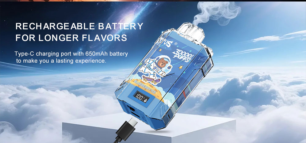 DE017 Florida FL USA 30000 Puffs Disposable Vape with LED display screen and adjustable airflow rechargeable