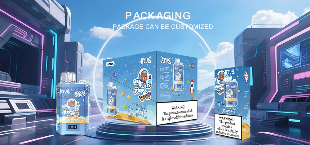 DE017 Florida FL USA 30000 Puffs Disposable Vape with LED display screen and adjustable airflow rechargeable